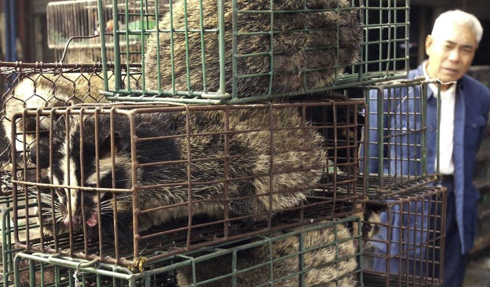 UN proposes ban on sale of live animals ‘to curb diseases’