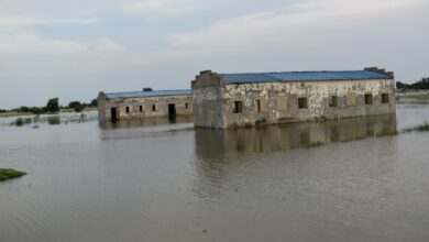 ’90 percent of Unity State under water’