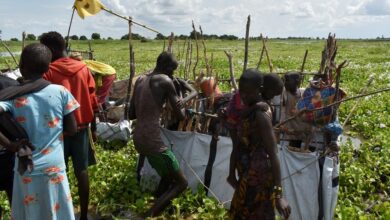 Parliament urged to set clear flood management strategies